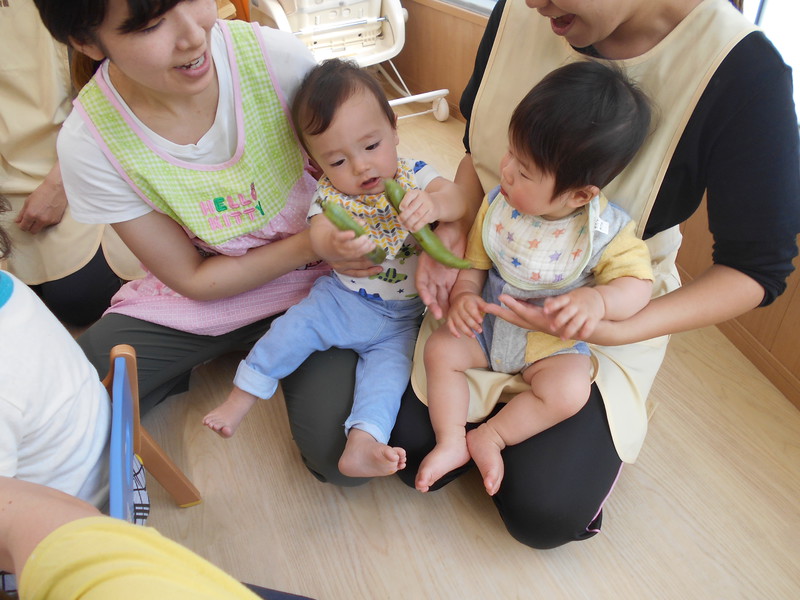 大きなそらまめ♪