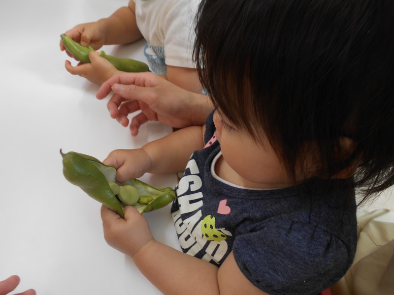 大きなお豆がでてきたよ