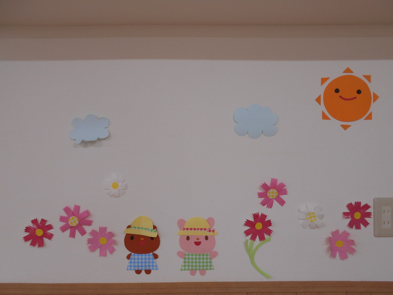 コスモス咲いた❣