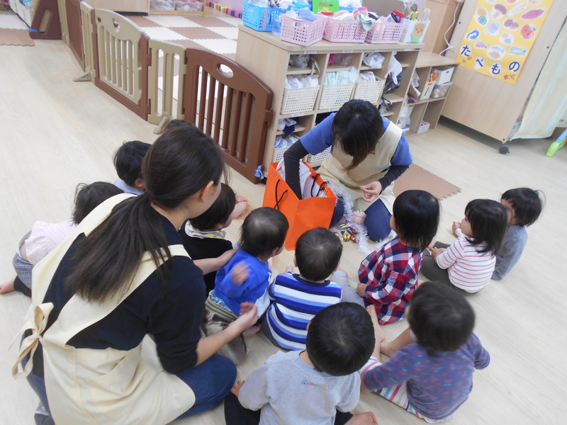 今日はどれ飾る？