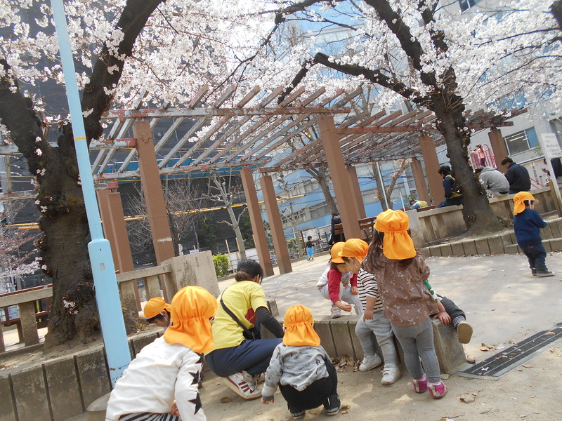 お花落ちてるね