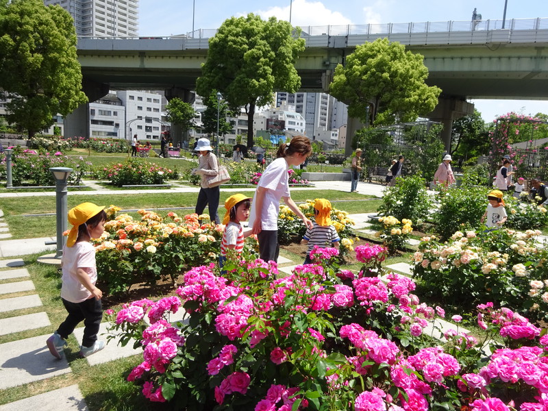 きれいだねー♪