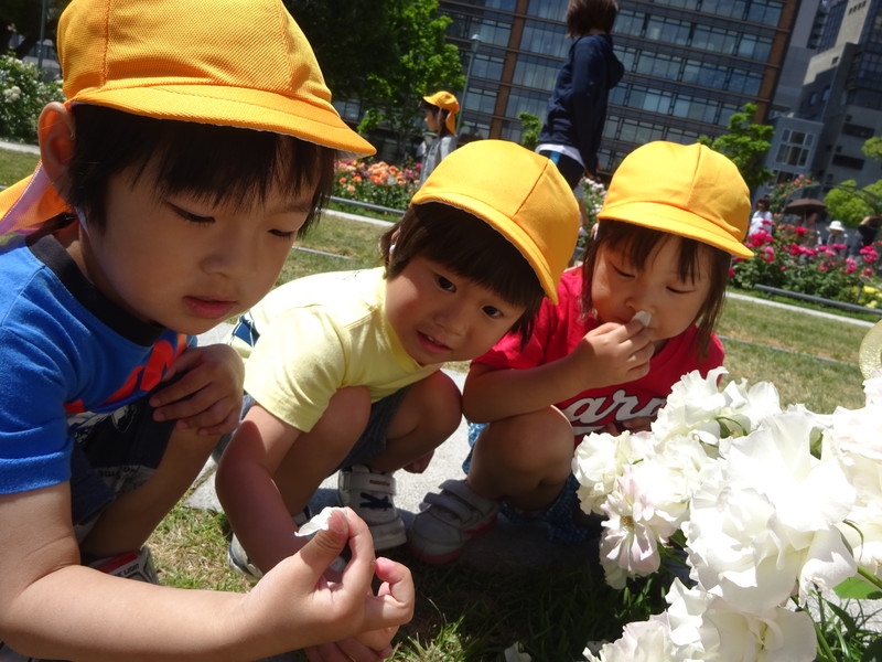 何か見つけたよ💡✨