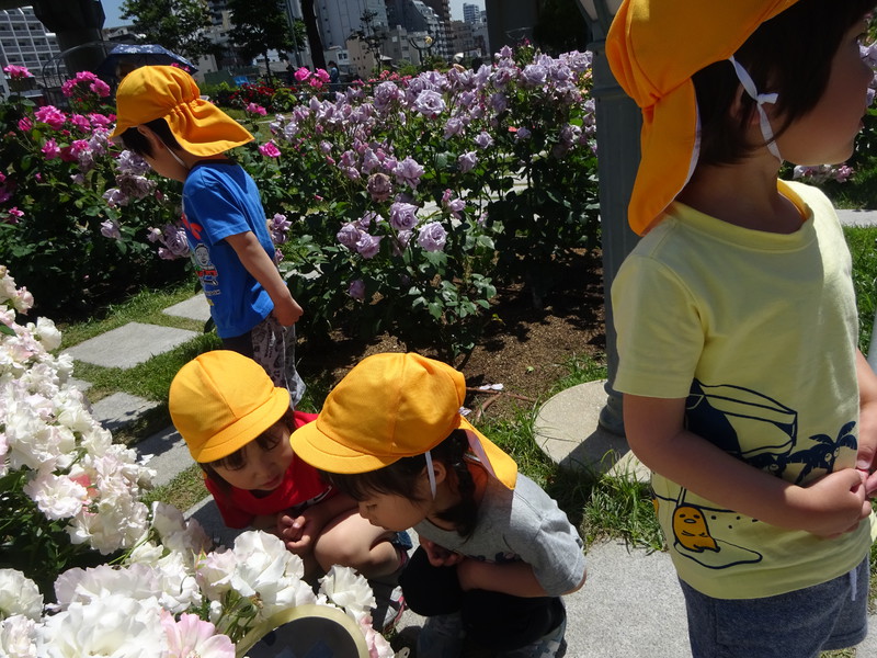 いいにおい〜🌹