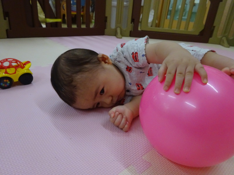 一緒にころりん💕