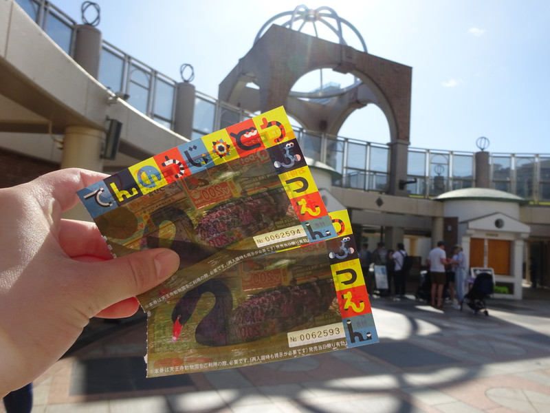 天王寺動物園に行きました🐘
