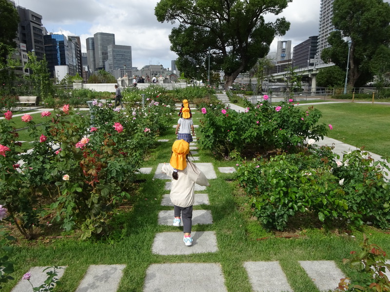 中之島公園に行ったよ🌹
