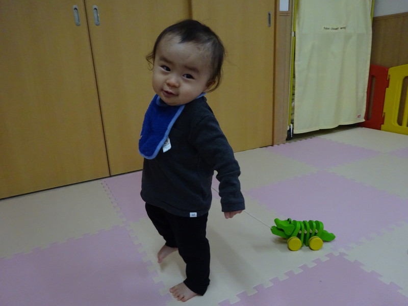 ワニさんのおさんぽ🐊💓