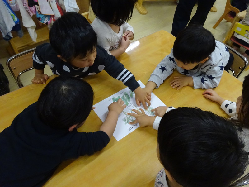 七草みーつけた💡