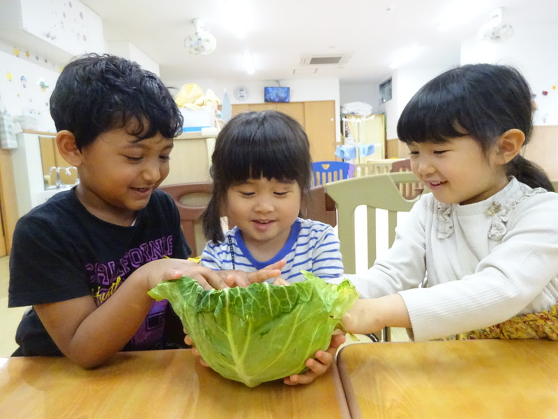 春野菜を触ってみよう⭐