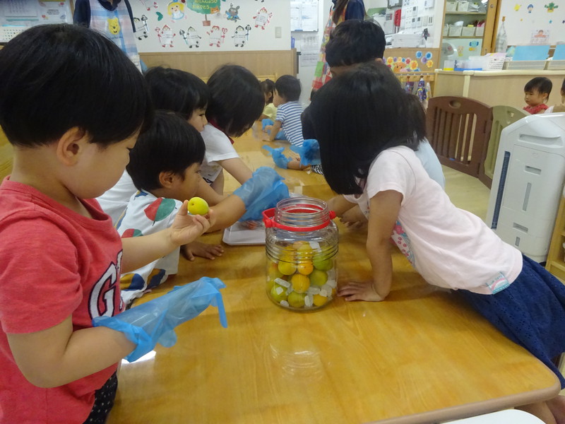 美味しい梅シロップになあれ😋