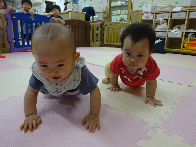 ハイハイ対決✨