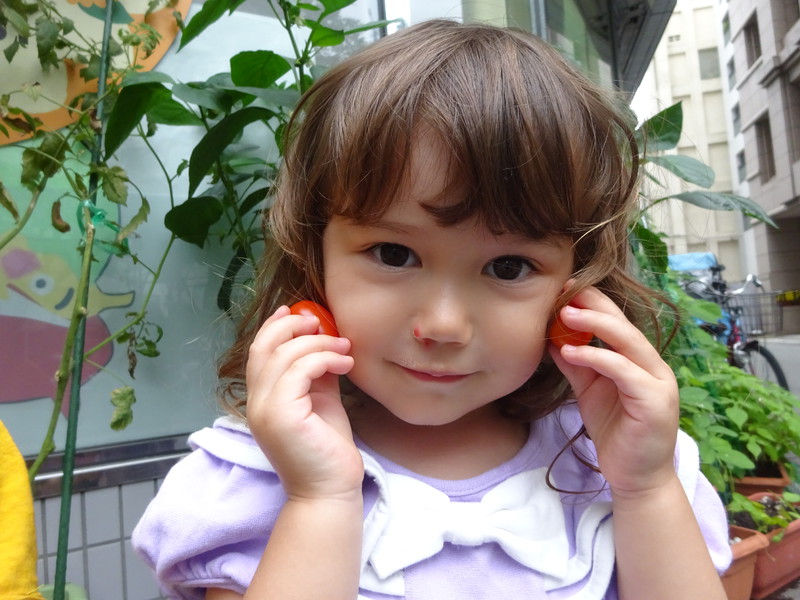 トマトできたよ🍅