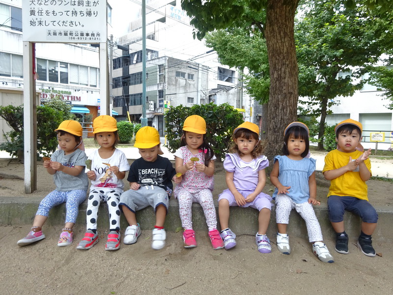 落ち葉みーつけた🍂