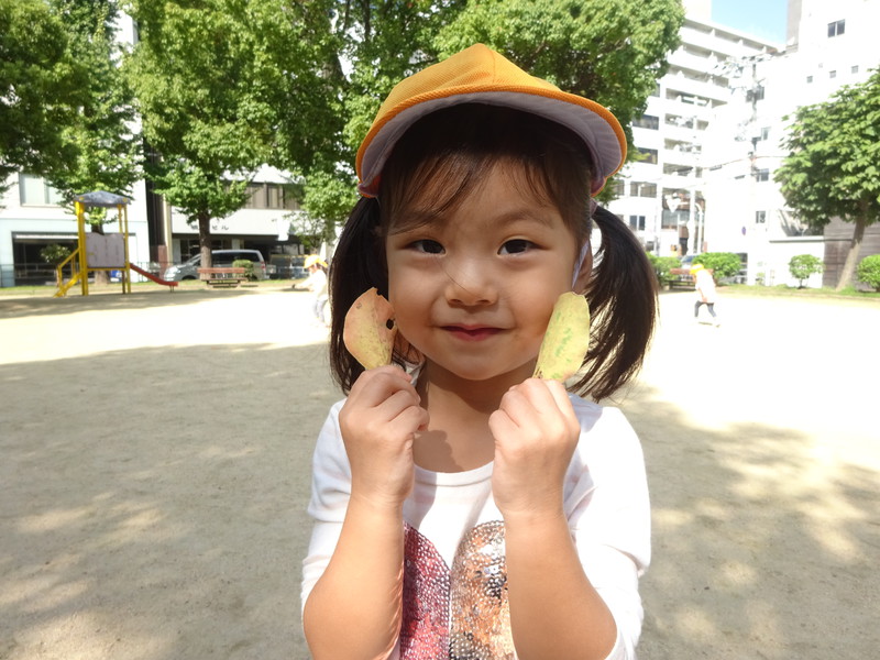 落ち葉みーつけた🍂