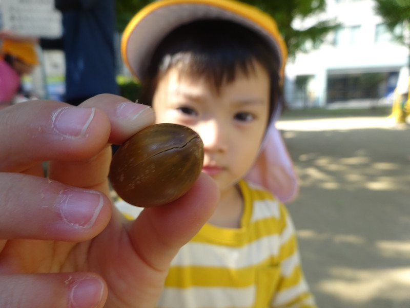 どんぐり見つけた❕❕❕