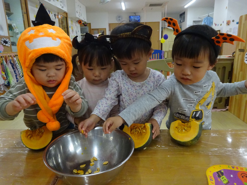 かぼちゃの種取り🎶