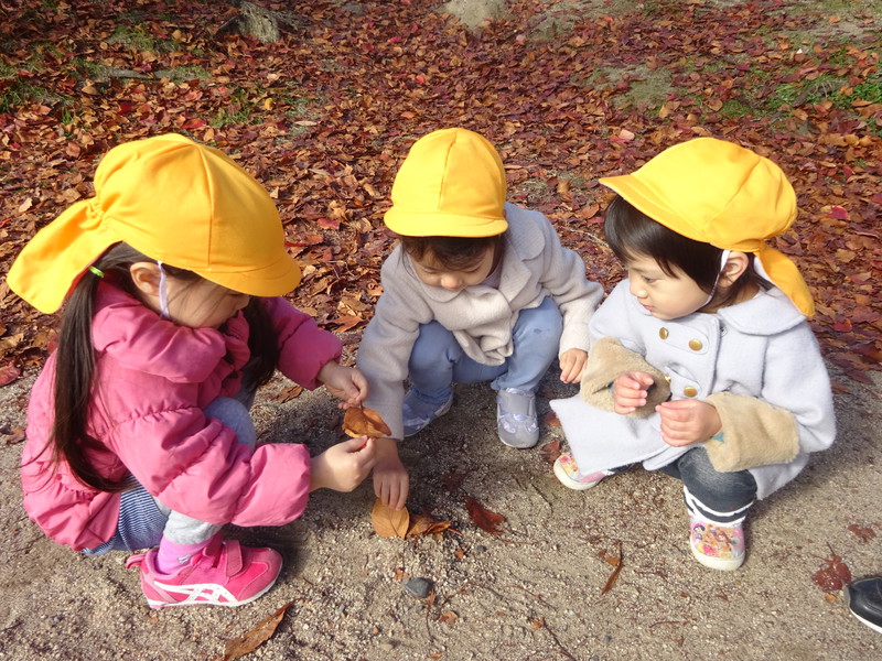 落ち葉の絨毯だね🍂