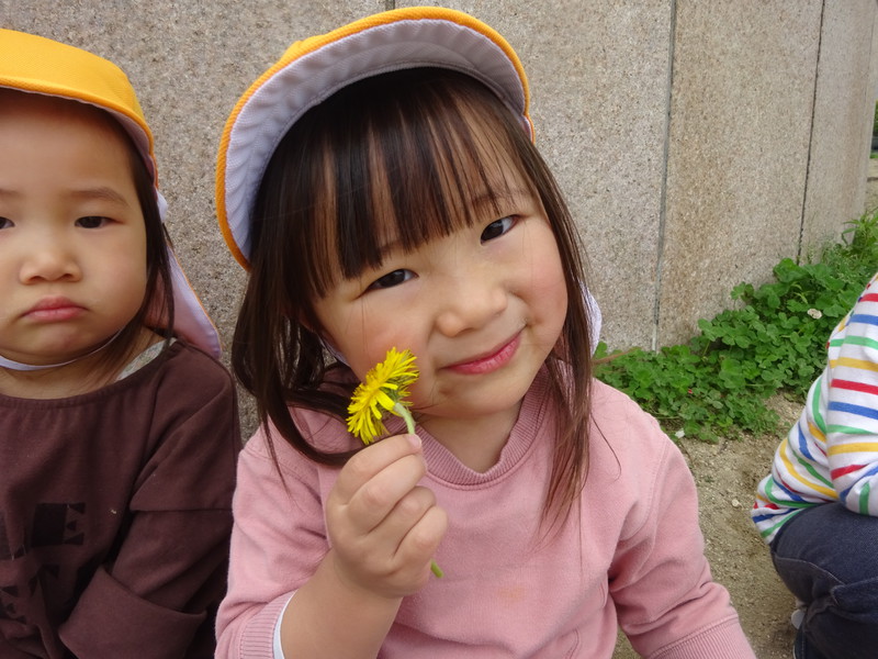 たんぽぽみーつけた❣