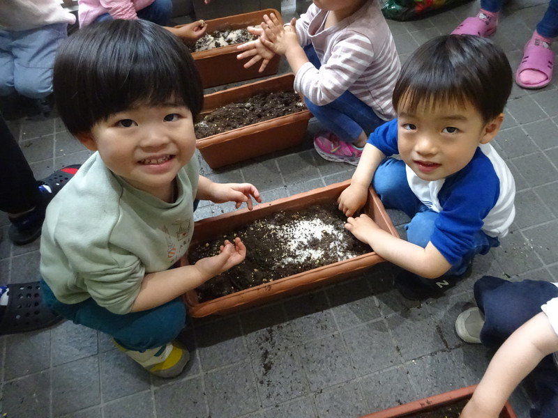 野菜の苗を植えたよ🌱