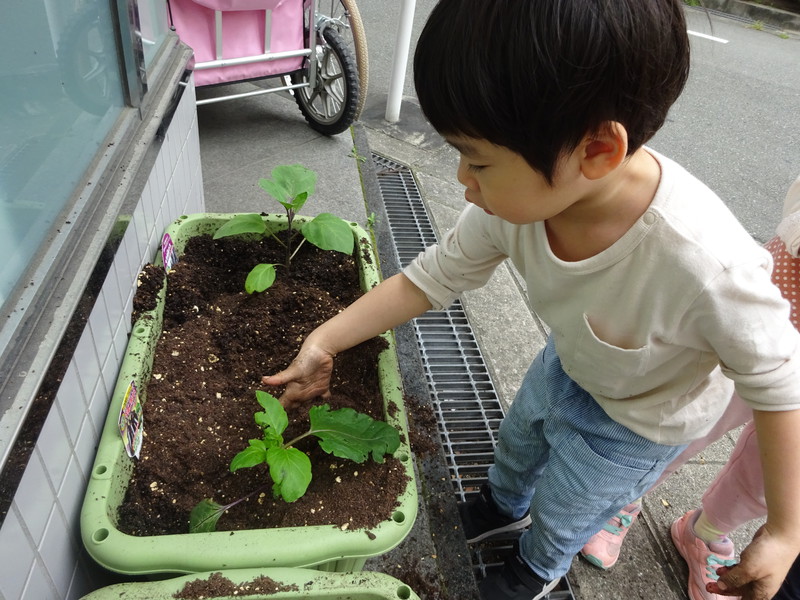 毎日水やり頑張ろうね⭐