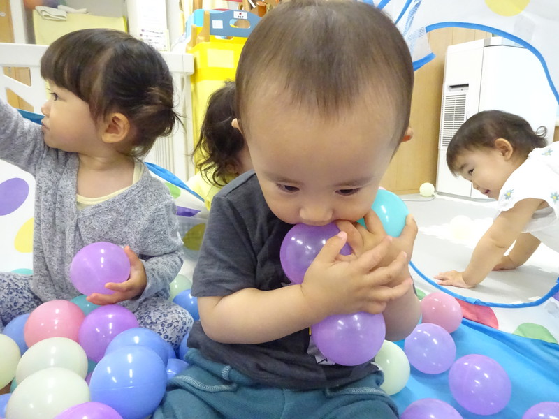 何個持てるかな🎶