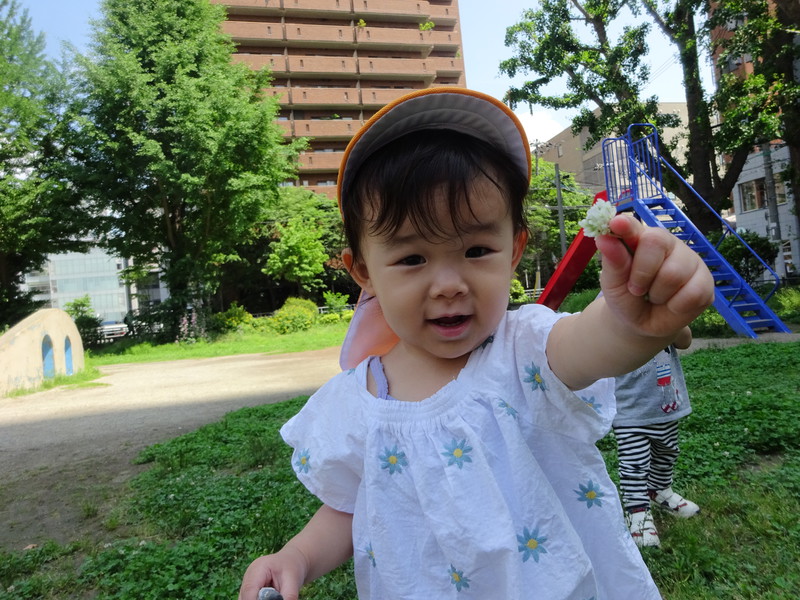 しろつめ草みーつけた❣