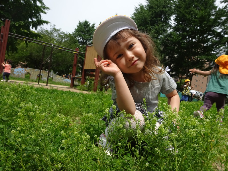 シロツメ草がたくさん🌼