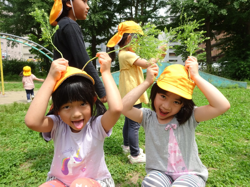 うさぎさんみたいでしょ🐰