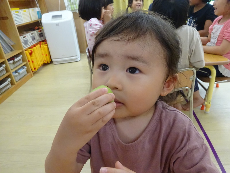 うめのにおーい✨