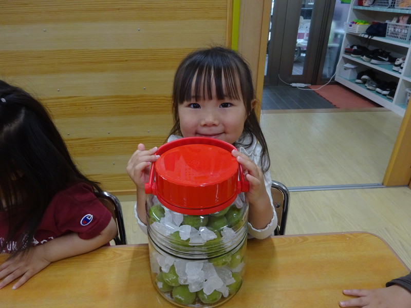 梅シロップ作り💜