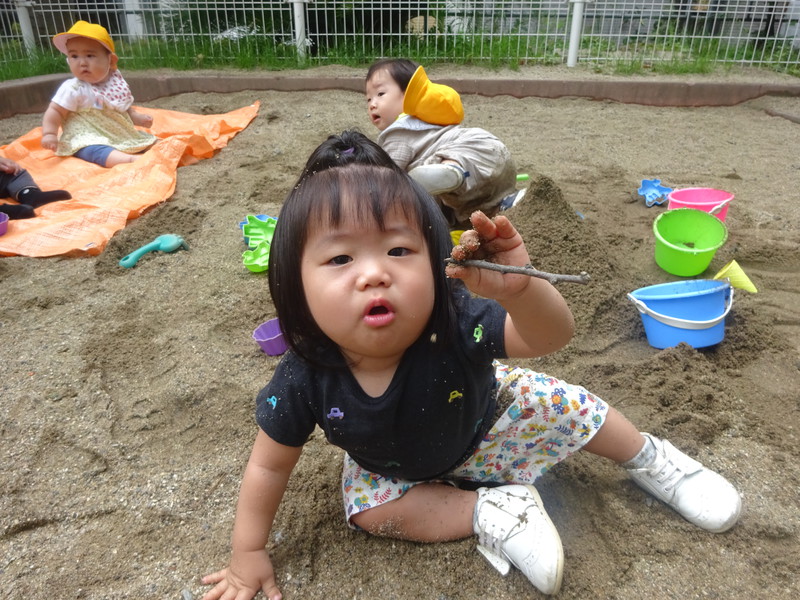 木の枝みーつけ👀