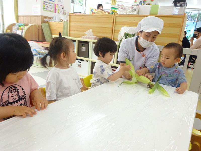 とうもろこしの皮むき🌽