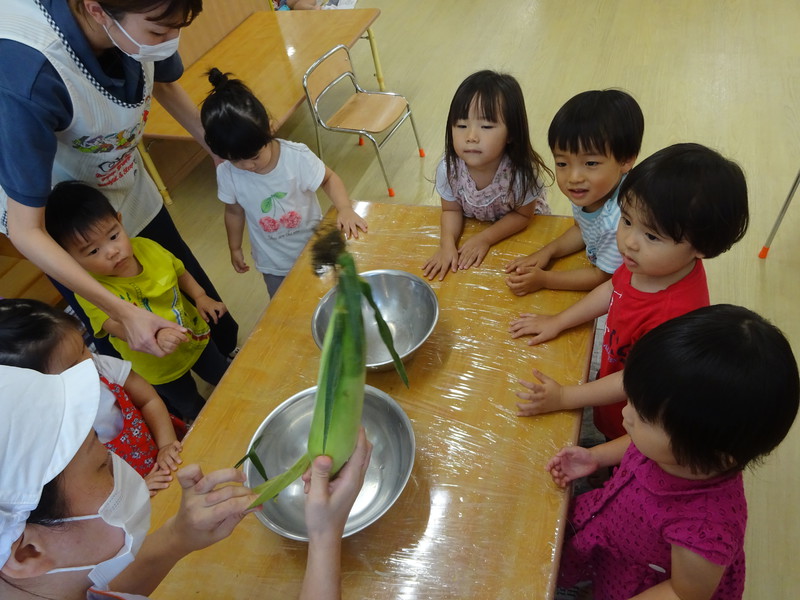 とうもろこしむきむき🎶