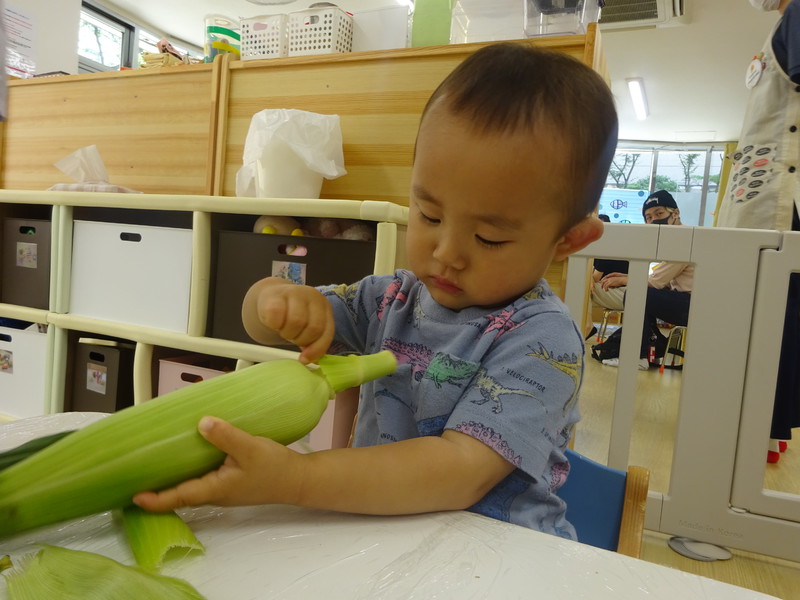 よいしょよいしょ🎶