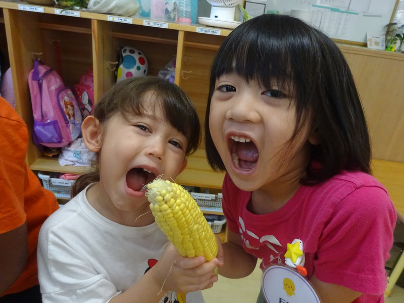 コーンがでてきたー⭐