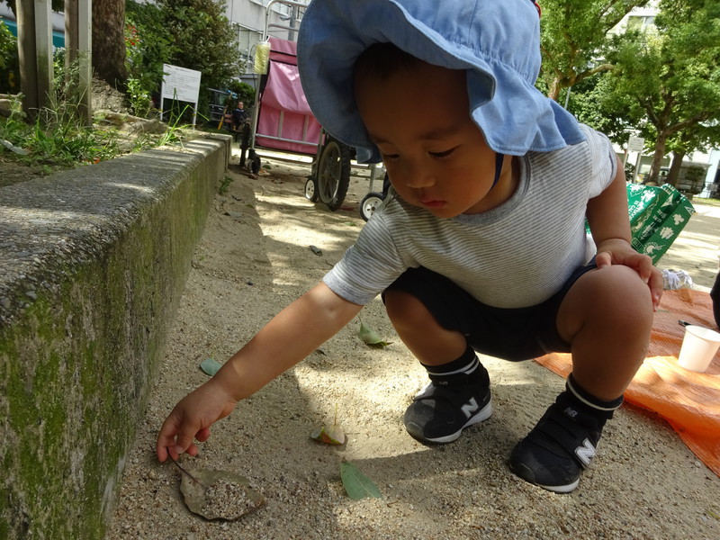 小さな秋みーつけ🍂