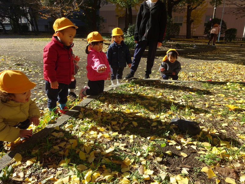 鳩さーーーん🐦
