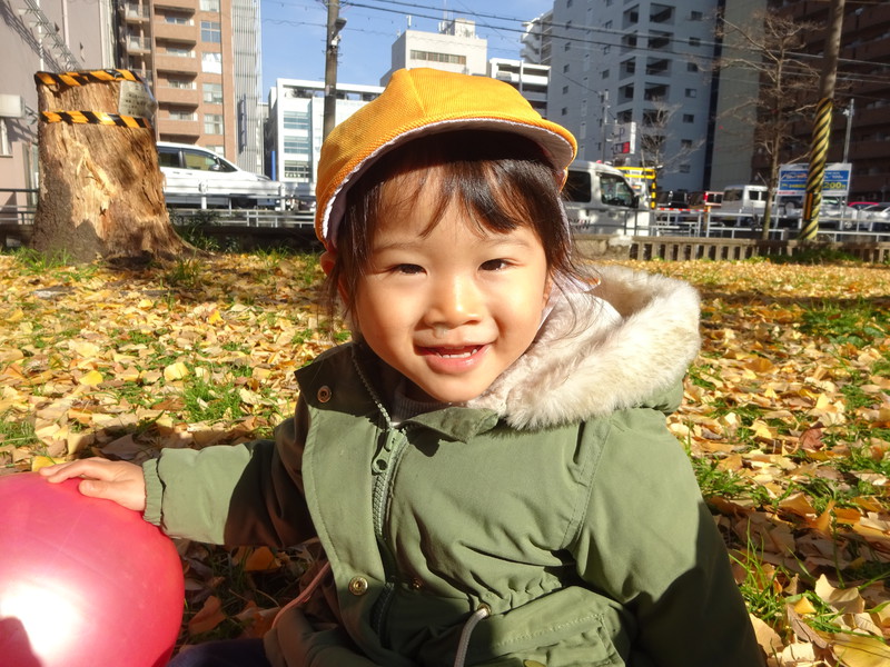 イチョウの絨毯だね💛