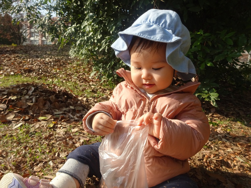 いっぱい見つけたよ❣