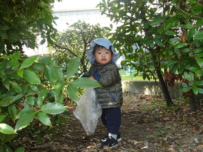 ドングリ拾い⭐