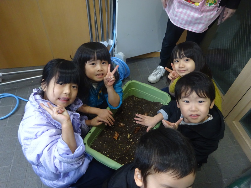 チューリップの球根を植えたよ🌷