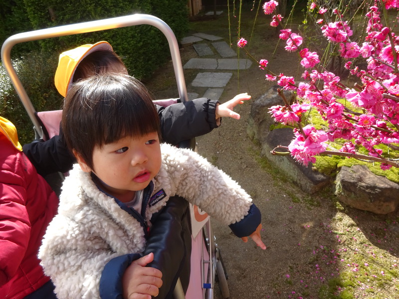 大阪天満宮にいったよ！