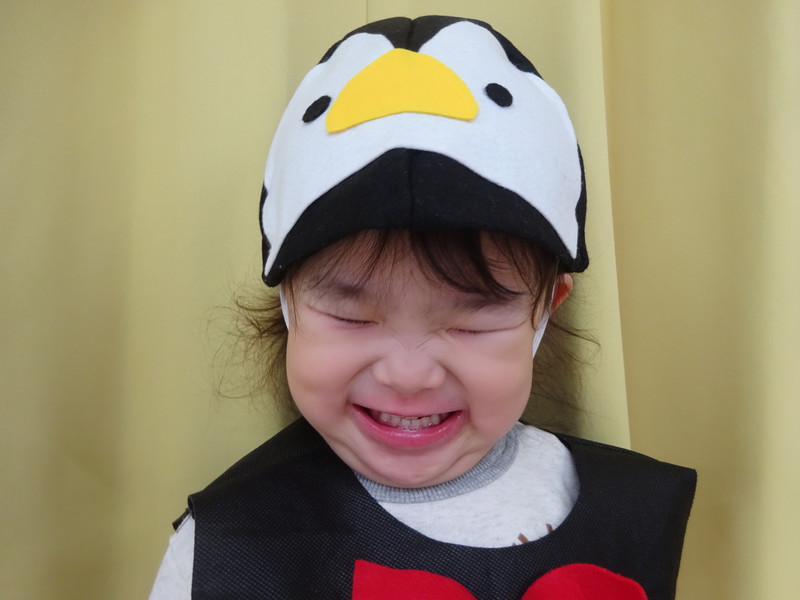 可愛いペンギンさん🐧💓