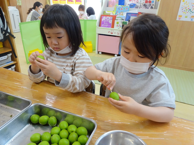 梅シロップを作るよ⭐