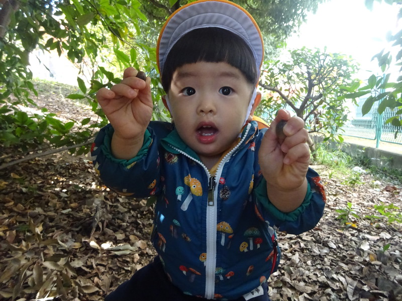 どんぐりあったー❣