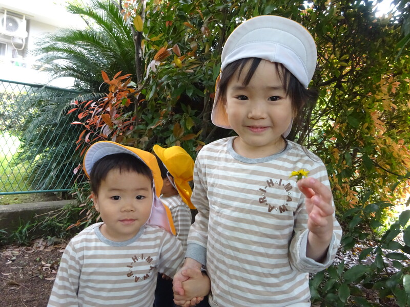 お花みーつけた🌼