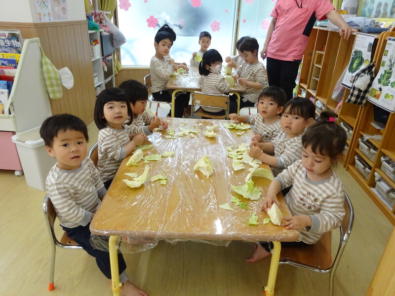 春キャベツに触れたよ⭐