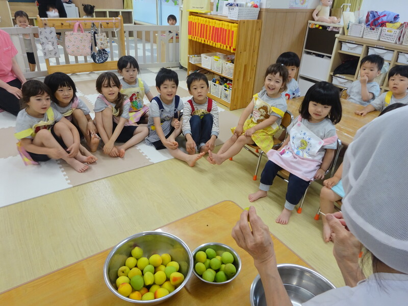 梅シロップ作り🍽