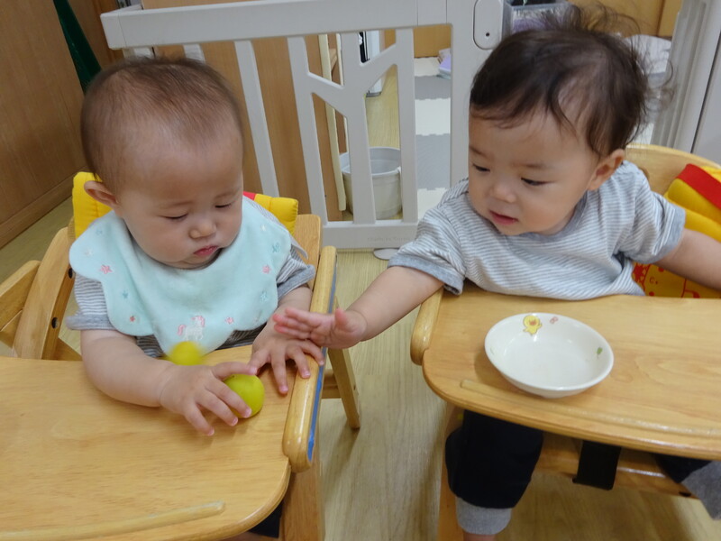 梅をさわったよ💚